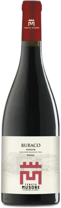 photo du vin Rosso Marche Igt Buraco Magnum Tenuta Musone