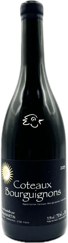 vue du vin Coteaux Bourguignon