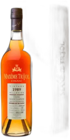 vue du vin Maxime Trijol xo Simon Verger Sélection