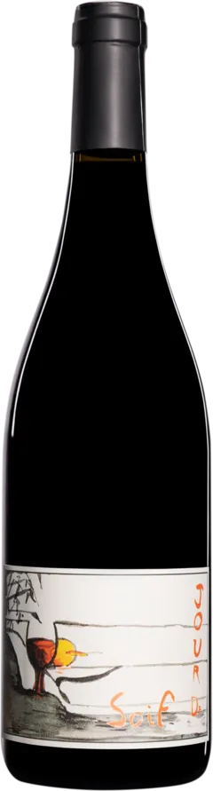 photo du vin Domaine du Bel Air Bourgueil "Jour de Soif" Rouge 2024