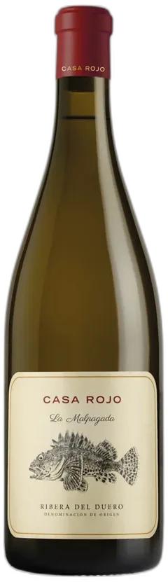 photo du vin Ribera Del Duero do la Malpagada Casa Rojo 2022
