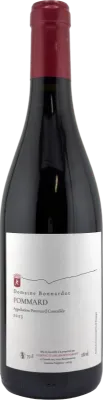 vue du vin Pommard 2020