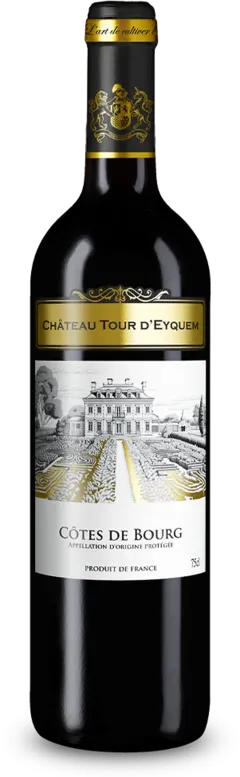 illustration du vin Côtes de Bourg 2022