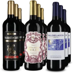capture du vin 3x3 Vins Rouges Primés d’Espagne