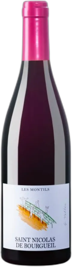 photo du vin Domaine de la Cotelleraie les Perruches 2022 Vin de l’Aoc Saint-Nicolas-de-Bourgueil
