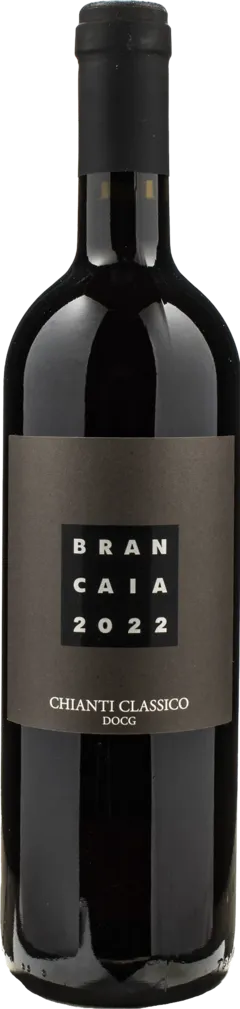 image du vin Chianti Classico Gran Selezione Docg Brancaia 2020