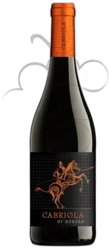 illustration du vin Borsao Selección Campo de Borja