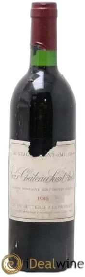 vue du vin Vieux Château Saint-André