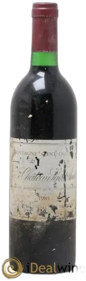 vue du vin Vieux Château Saint-André