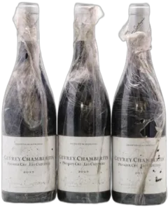 image du vin Gevrey-Chambertin 1er Cru les Cazetiers Jérome Castagnier