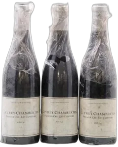 image du vin Gevrey-Chambertin 1er Cru les Cazetiers Jérome Castagnier