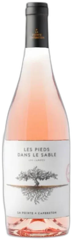 vue du vin Domaine de la Pointe Igp Landes les Pieds Dans le Sable Rosé