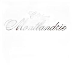 photo Château Montlandrie 2015