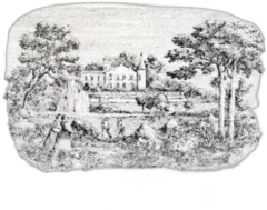 photo Château Lafite Rothschild 2016