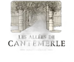 photo les Allées de Cantemerle 2018