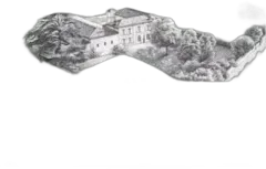 photo Château Franc-Mayne 2022