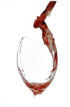 aperçu du vin Bib Côtes Catalanes "Vignobles Dom Brial"