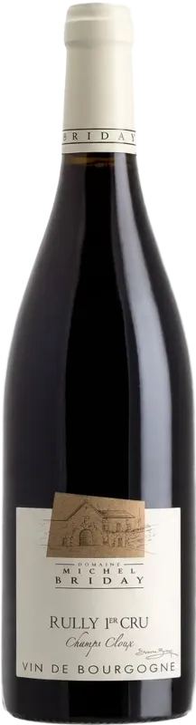 image du vin Rully 1er Cru Champs Cloux Rouge 2023 Domaine Michel Briday