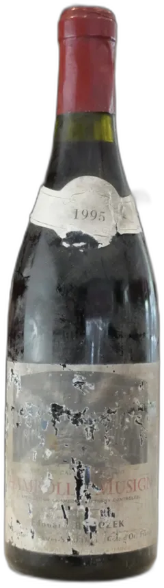 photo du vin Chambolle Musigny 1995 Bryczek