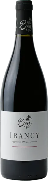 aperçu du vin Irancy Rouge 2023 Domaine Bon et Fils