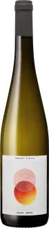 illustration du vin Gentil 2025 Sophie Schaal