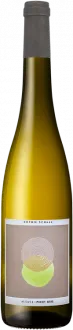 illustration du vin Pinot Gris 2025 Sophie Schaal