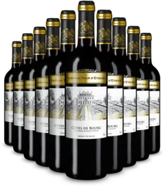 capture du vin 10x Côtes de Bourg 2022