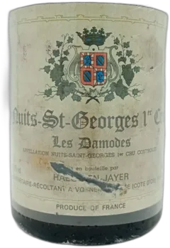 vue du vin Nuits Saint Georges 1er Cru les Damodes 1994 Domaine Haegelen-Jayer