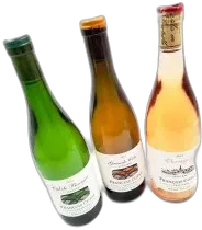 vue du vin Sancerre la Grande Côte François Cotat