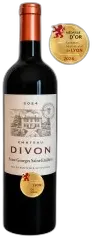 vue du vin Saint Georges Saint-Emilon Château Divon