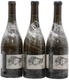 vue du vin Chablis 1er Cru Butteaux Pattes Loup