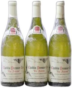vue du vin Chablis 1er Cru la Forest Vincent Dauvissat