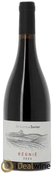 vue du vin Régnié les Forchets Antoine Sunier