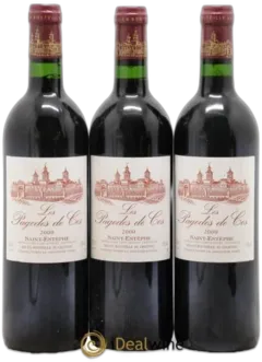 image du vin Les Pagodes de Cos