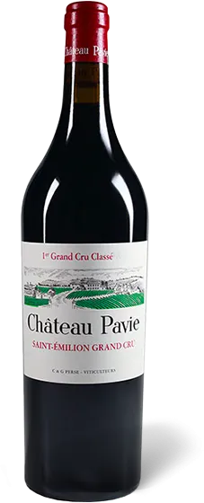 vue du vin Château Pavie