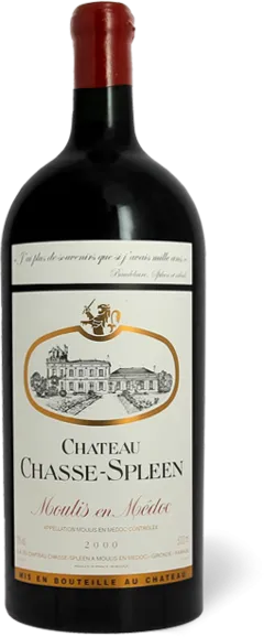 photo du vin Château Chasse-Spleen