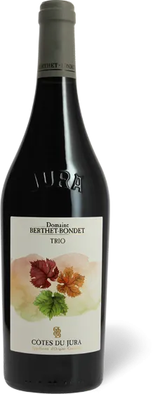 image du vin Domaine Berthet-Bondet "la Queue au Renard" Côtes du Jura Rouge Bio
