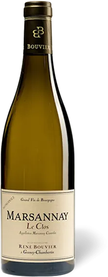 vue du vin le Clos du Roy Blanc 2020 Domaine Réné Bouvier, Marsannay