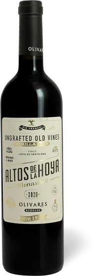 vue du vin Bodegas Olivares, Umbria de la Hoya 2020