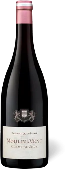 vue du vin Domaine Thibault Liger-Belair