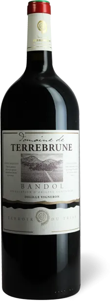 vue du vin Domaine de Terrebrune