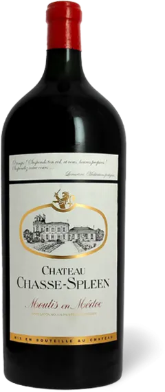 photo du vin Château Chasse-Spleen