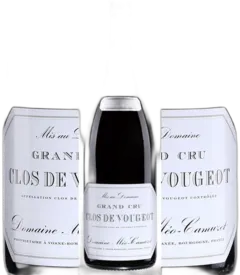 capture du vin Clos de Vougeot Grand Cru Méo Camuzet