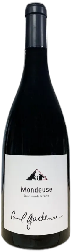 vue du vin Aoc Vin de Savoie Mondeuse Domaine Paul Gadenne