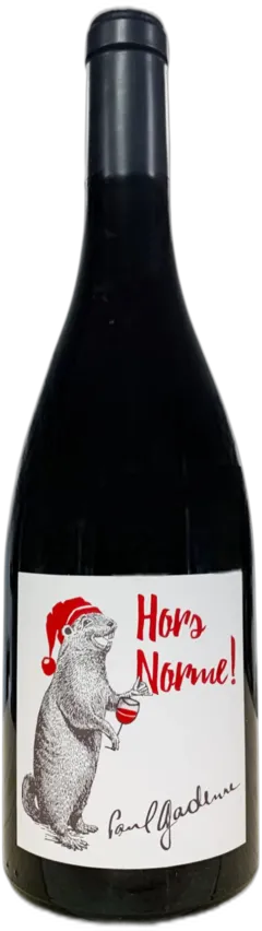 capture du vin Aoc Vin de Savoie "Hors Norme" Gamay Mondeuse Domaine Paul Gadenne