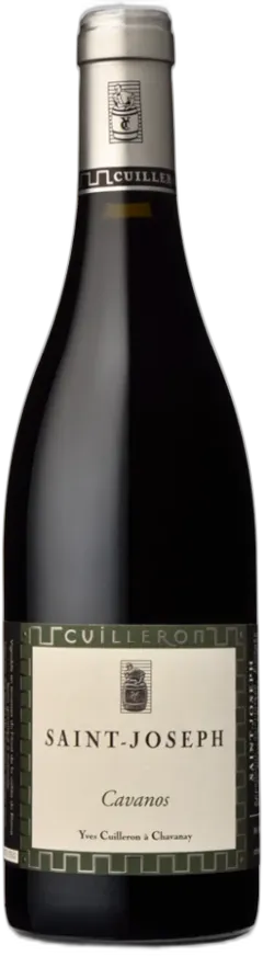 vue du vin Yves Cuilleron Saint Joseph Cavanos