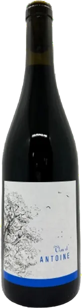vue du vin Vin de Thierry 2023 Domaine Saint Nicolas