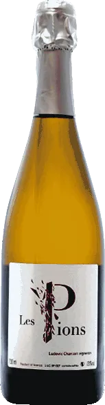 vue du vin Aop Pétillant Montlouis Sur Loire “les Pions ” Domaine Ludovic Chanson