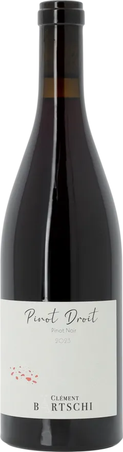 vue du vin Manicle Aop Bugey "Sous les Rochers la Vigne"