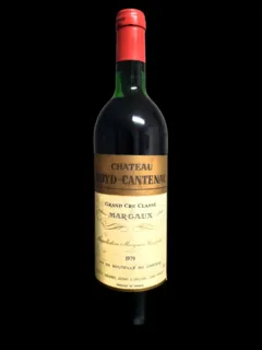 vue du vin Château Boyd-Cantenac 3ème Grand Cru Classé Bordeaux Margaux